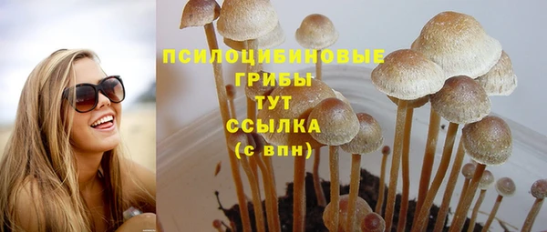 амф Гусиноозёрск