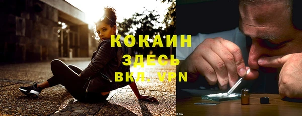 крисы Балахна